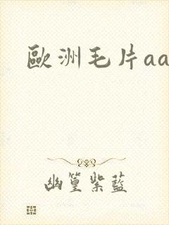 欧洲毛片aa