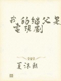 我的继父是偶像 电视剧封面