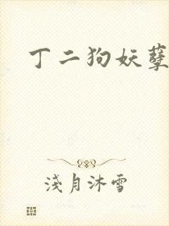 丁二狗妖孽人生封面