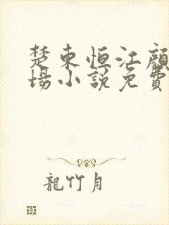 楚东恒江颜的官场小说免费阅读