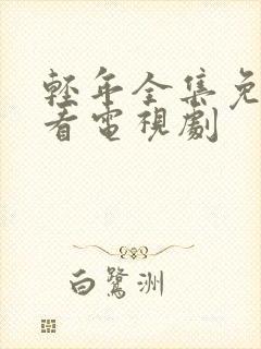 轻年全集免费观看电视剧