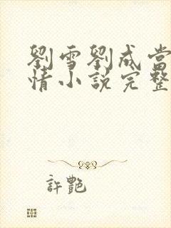 刘雪刘成当代爱情小说完整封面