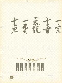 十一天十一夜2免费观看完整版电视剧封面