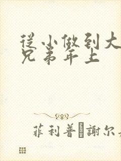 从小做到大骨科兄弟年上封面