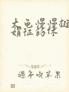 大龟慢慢挺进张娟征的休