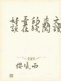 好看的爽文轻小说在线阅读