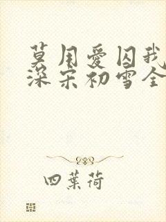 莫用爱囚我傅寒深宋初雪全文阅读