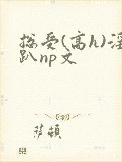 总受(高h)淫趴np文封面