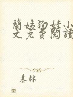 兰姨狗娃小说全文免费阅读最新章节