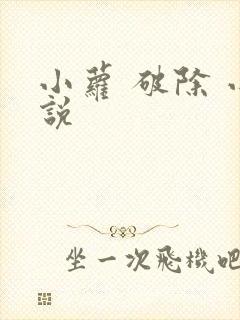 小萝 破除 小说