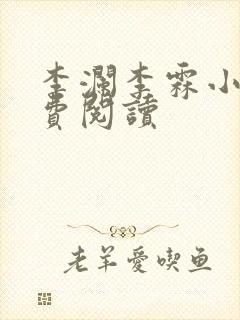 李澜李霖小说免费阅读