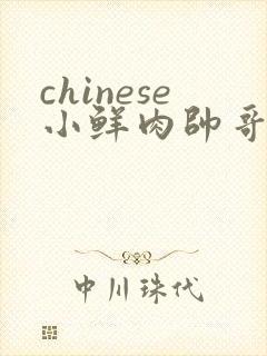 chinese小鲜肉帅哥gaygv