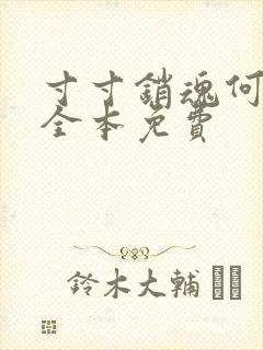 寸寸销魂何生祥全本免费