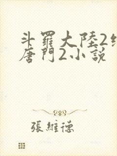 斗罗大陆2绝世唐门2小说