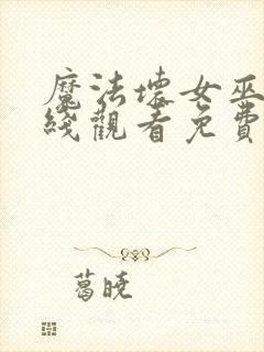 魔法坏女巫2在线观看免费版高清封面