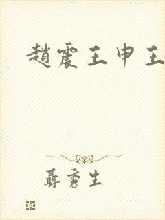 赵震王申王乙封面