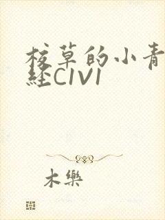 校草的小青梅不经C1V1