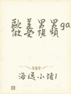 欧美男男gay做受视频