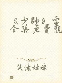 《少帅》电视剧全集免费观看高清