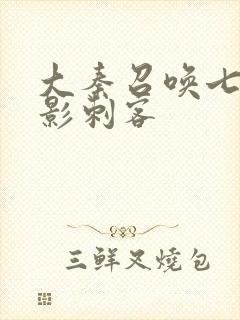 大秦召唤七大暗影刺客