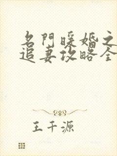 名门暖婚之权爷追妻攻略全文免费阅读