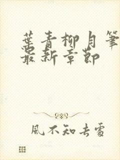 叶青柳月笔趣阁最新章节封面