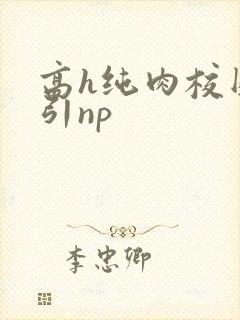 高h纯肉校园勾引np