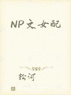 NP文女配封面