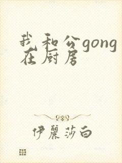 我和公gong在厨房封面