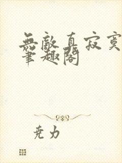 无敌真寂寞小说笔趣阁