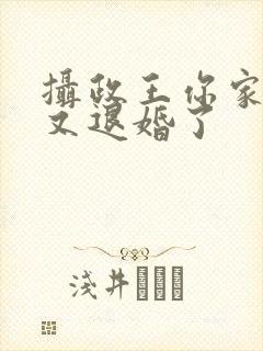 摄政王你家王妃又退婚了