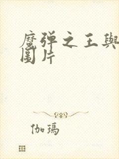 魔弹之王与战姬图片