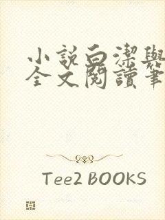 小说白洁与高义全文阅读笔趣阁下载封面