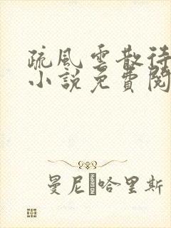 疏风云散待晴时小说免费阅读封面