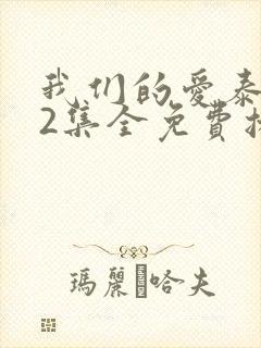 我们的爱泰剧12集全免费播放