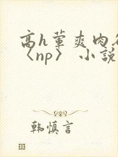 高h荤爽肉欲文〈np〉 小说