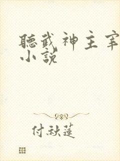 听武神主宰有声小说