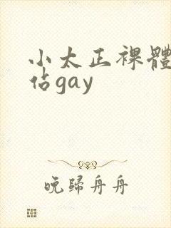 小太正裸体黄网站gay封面