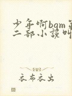 少年啊bgm第二部小说叫什么