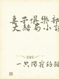 妻子俱乐部番外 大结局小说