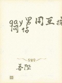 gay男同互操网站