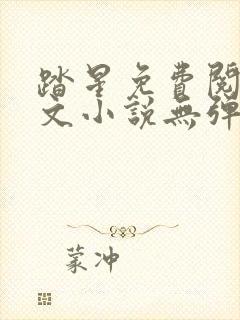 踏星免费阅读全文小说无弹窗