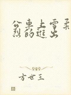 公车上雪柔被猛烈的进出