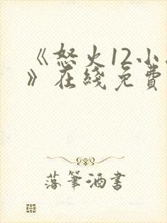 《怒火12小时》在线免费观看