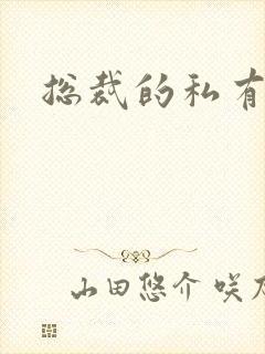 总裁的私有宝贝