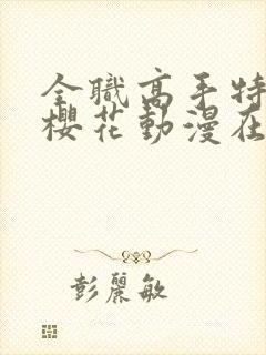 全职高手特别篇樱花动漫在线观看