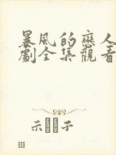 暴风的恋人电视剧全集观看韩剧免费