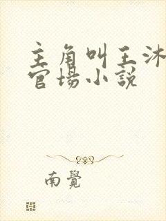 主角叫王沐阳的官场小说封面