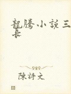 龙腾小说三宝局长封面