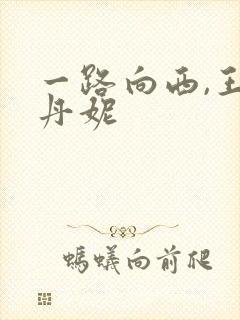 一路向西,王李丹妮